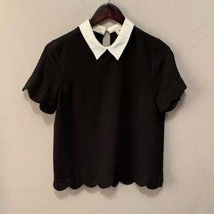 White Collared Scalloped Sleeve Blouse